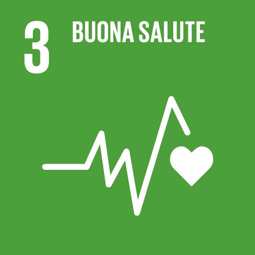 Icona SDG Obiettivo 3