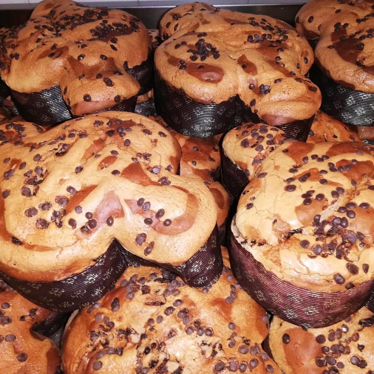 Colomba pasquale con gocce di cioccolato peruviano